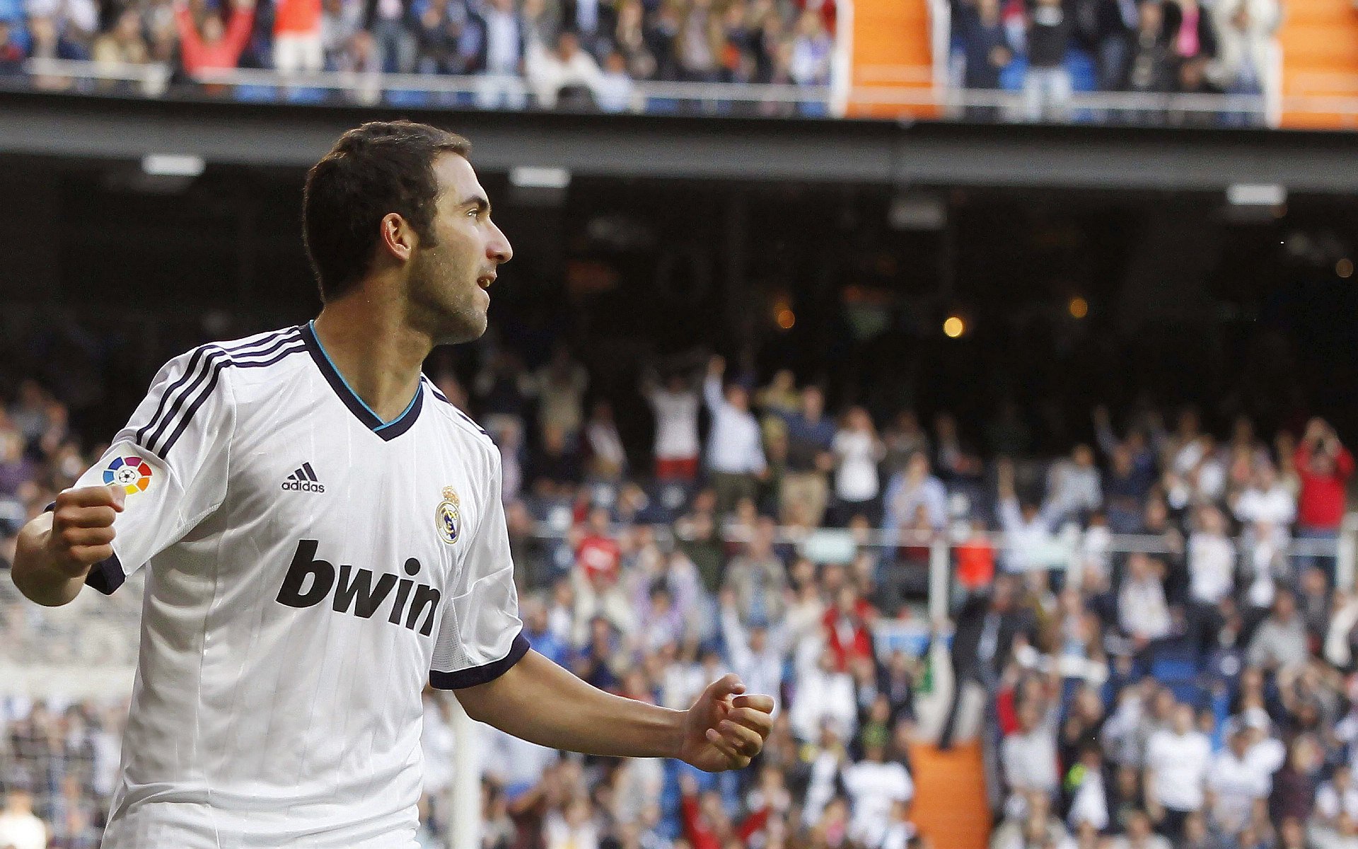 女子英格兰队或将主导未来十年,英格兰 女球迷